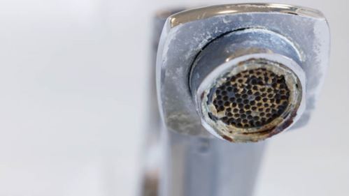 Does Mineral Build-Up Lower Water Pressure in Miami Homes? 